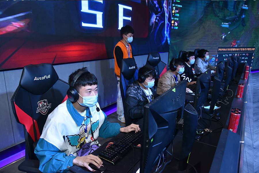 员在职业规 员在职业规