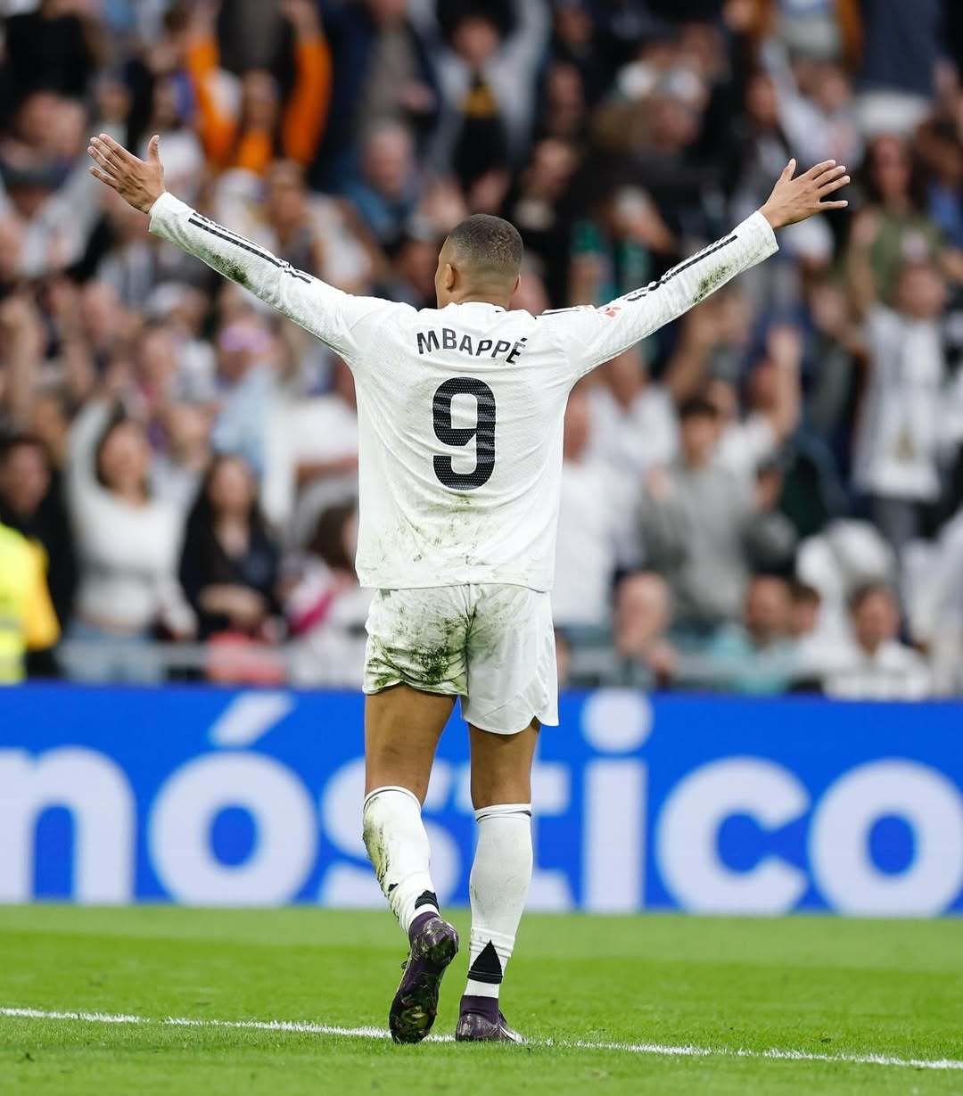 球迷提供持 球迷提供持